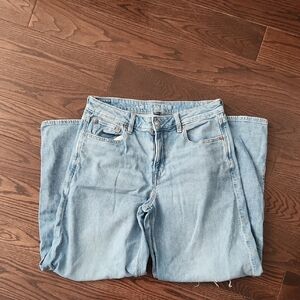 American Eagle Outfitters Low Rise Baggy Wide Leg Jean size 8 Short Distressed